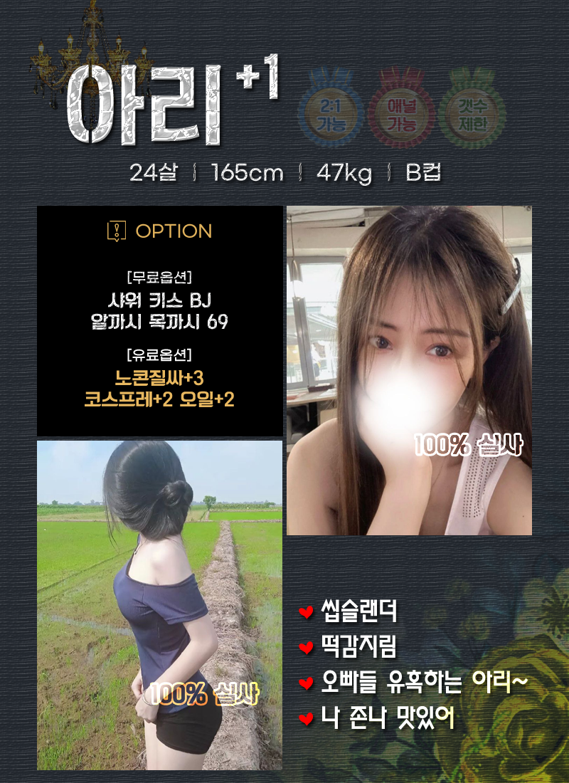 아리.png